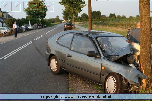 Auto tegen de boom