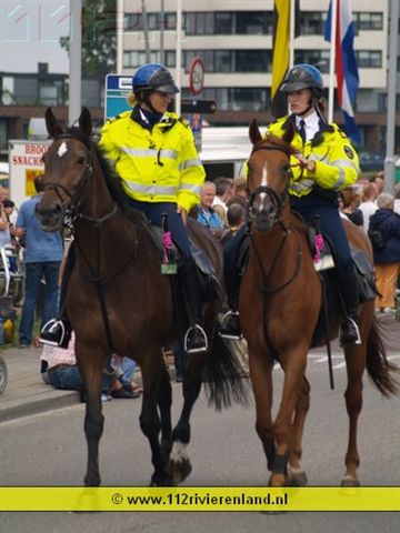 Roze Zaterdag Tiel 2008