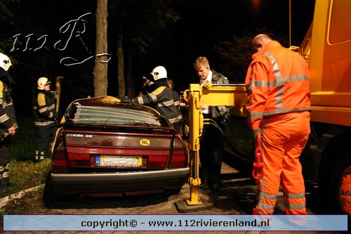 Auto tegen de boom