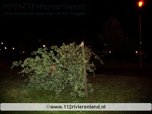 Ingezonden natuurfotos