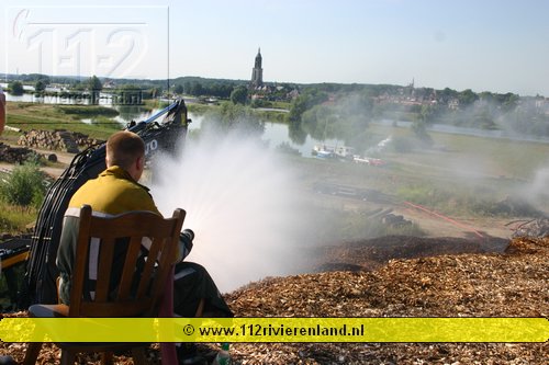 Houtbroei aan de dijk