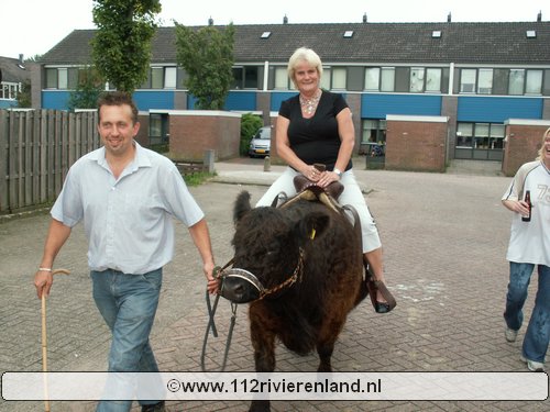 Koe ritje voor verjaardag