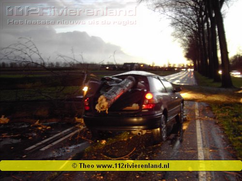 Boom valt op auto bestuurder ongedeerd