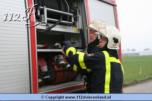Coniferen in brand