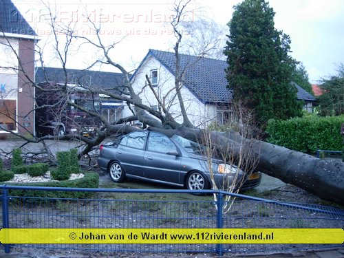 Stormschade boom op een auto