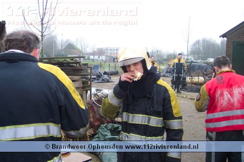 Brandweer haalt koe uit de put