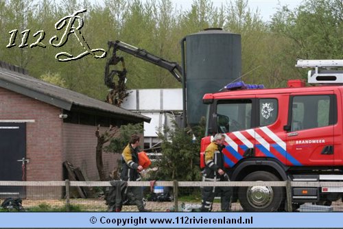 AID stuit op dode runderen