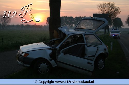 Auto tegen de boom