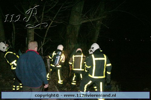 Boom in brand