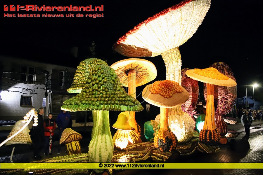 Fruitcorso by night door de straten
