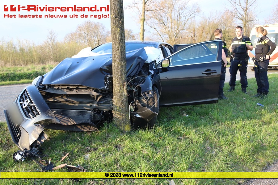 Auto tegen boom
