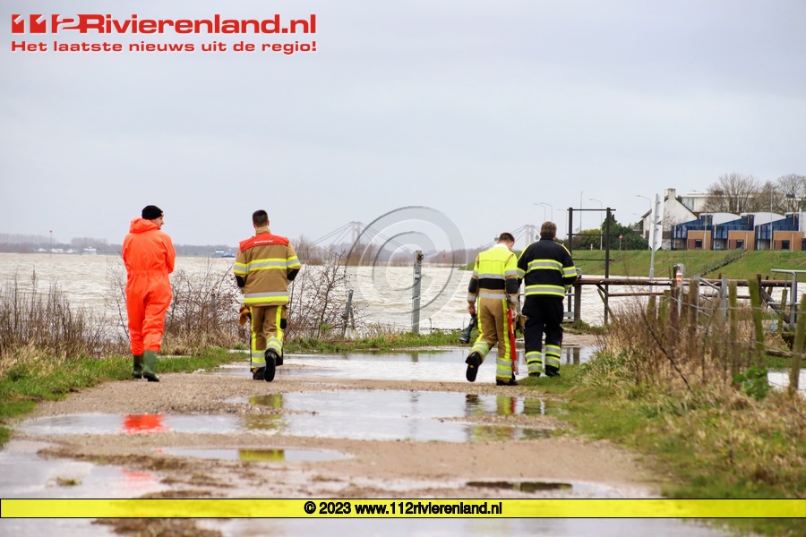 Ree in de problemen in de uiterwaarden door hoog water