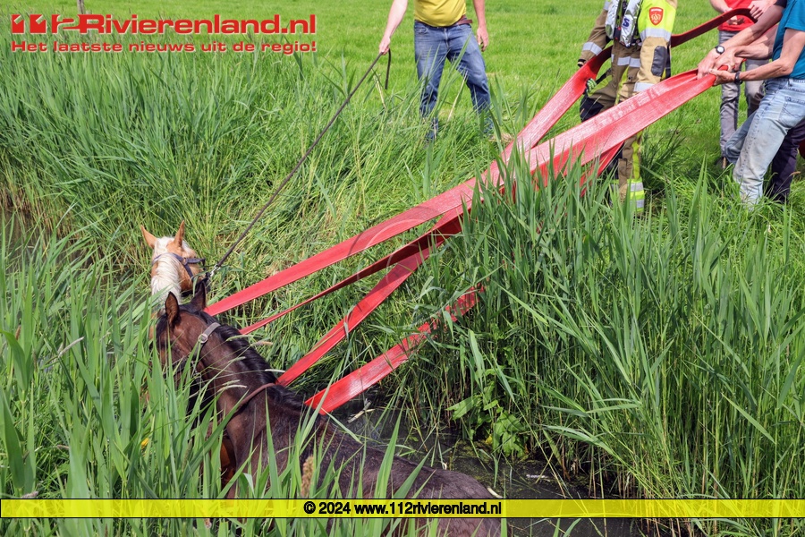 Kapel Avezaath - Paarden in de sloot