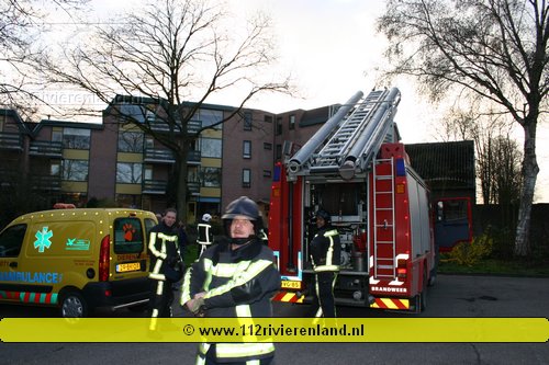 Tielsebrandweer helpt dierenambulance