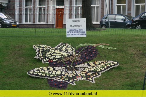 Mozaieken langs de gracht