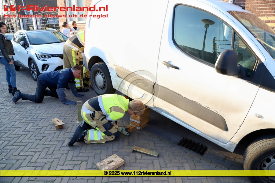 Reddingsactie voor kat