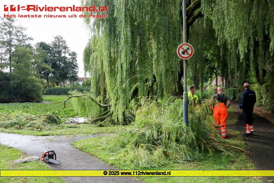 Grote tak breekt uit Treurwilg