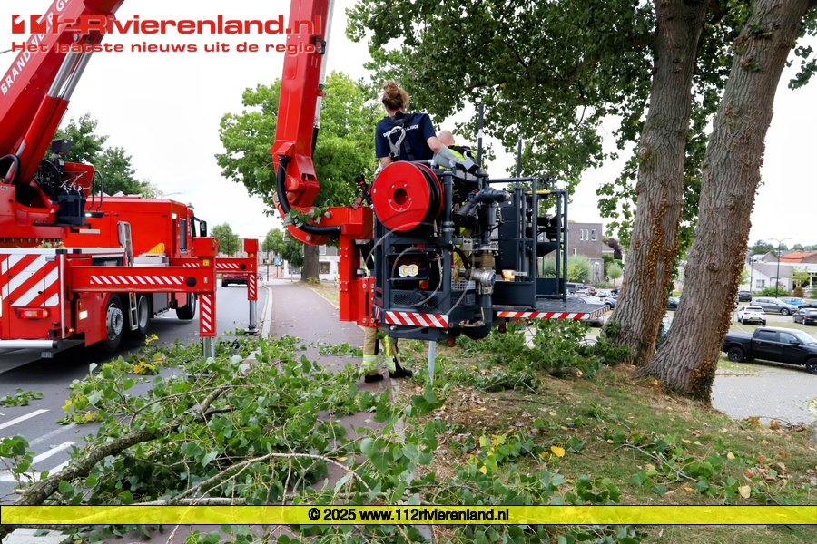 Brandweer krijgt de kat niet uit de boom