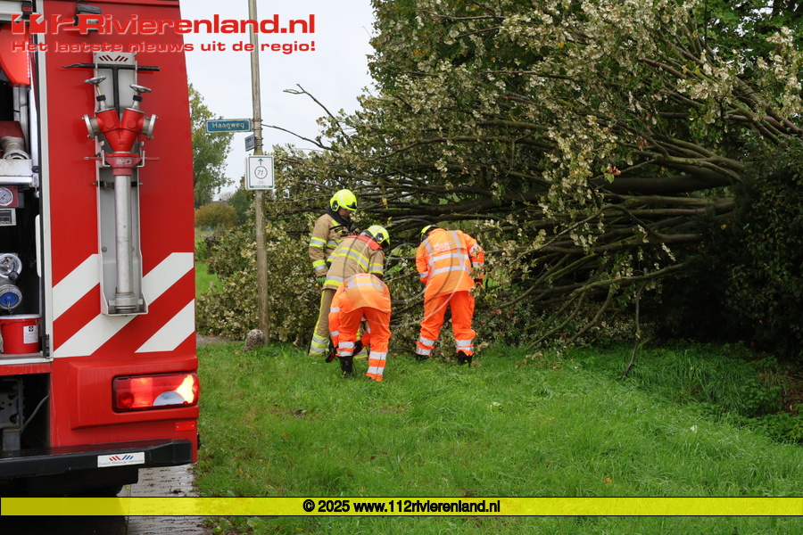 Boom valt om door wind