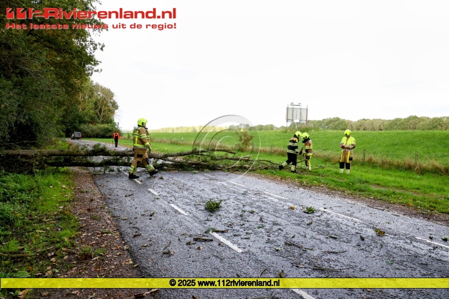 Boom over de weg Retsestraat