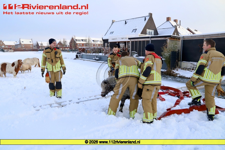 Brandweer redt pony uit sloot