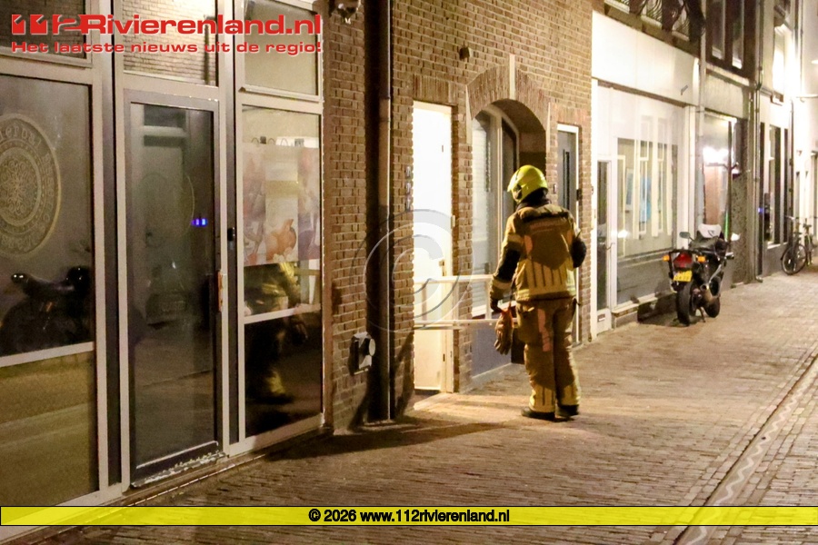 Brandweer redt kat met ladder