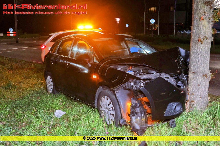 Auto tegen de boom