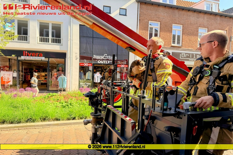 Brandweer haalt kat uit de dakgoot