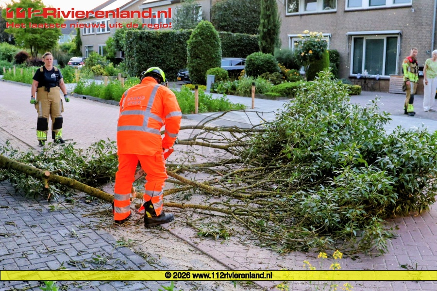 Brandweer verwijdert afgebroken boomtak van rijbaan