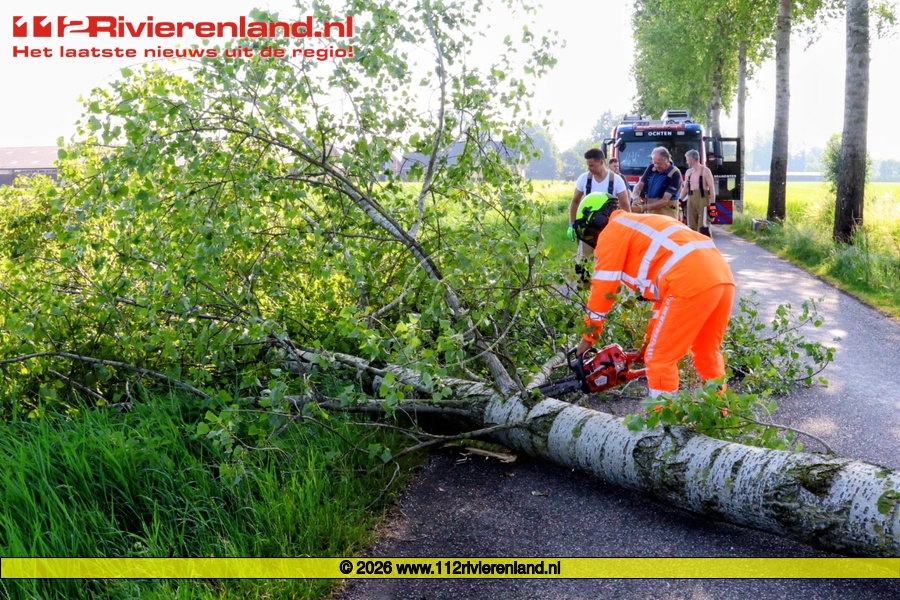 Boom over de weg