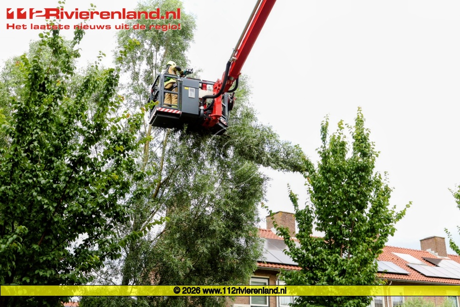 Brandweer haalt beschadigde boom neer na stormschade