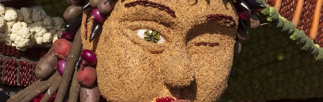 Fruitcorso en Appelpop prima verlopen