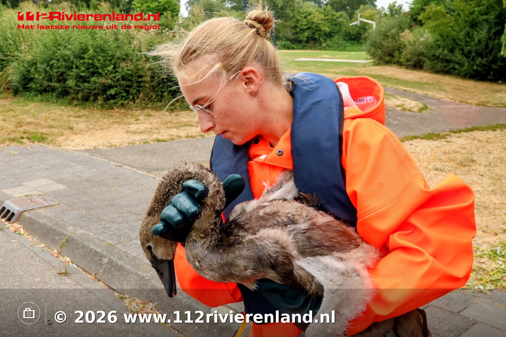 Tijdelijk cameratoezicht bij Westledeplein en rotonde Nieuwe Tielseweg/Teisterbantlaan