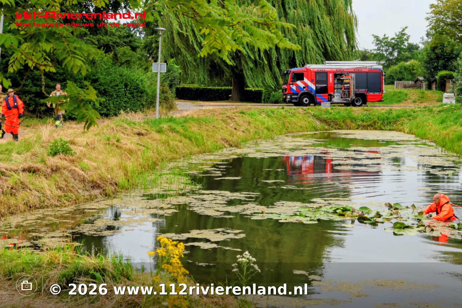 Brandweer redt jonge zwaan uit vijver